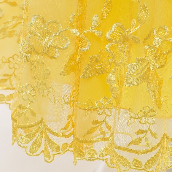 Luxury Embroidered Snow White Costume Dress - Picture 9 of 9